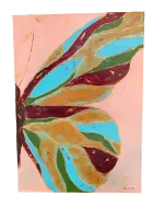 Бабочка половинка