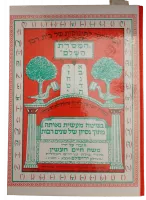 WhatsApp Image 2025-02-12 at 11_31_26-no-bg-preview (carve.photos)