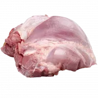 6878872cf44449cf6e6e8dbf978dc9c7-no-bg-preview (carve.photos)