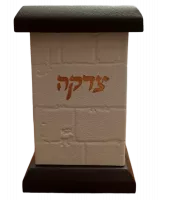 WhatsApp Image 2025-02-12 at 13_28_57-no-bg-preview (carve.photos)