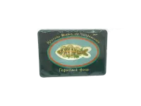 fotor_2023-5-22_13_14_26