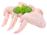 RQ96nO0kbjA-no-bg-preview (carve.photos)