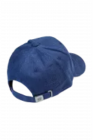 синяя2photoAid-removed-background