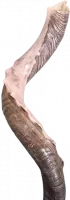 Kudu shofar with slits on the side_1