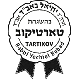 rabbi-ekhiel-babad-khasidut-tartikov-nyu-york