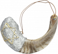 Shofar for anointing oil, plated in silver and gold, with a Star of David pattern